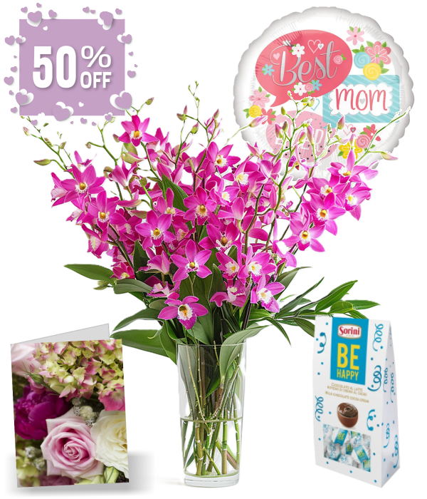 Orchidées pour la fête des Mères à Depot-du-Lac-Chibougamau | Bouquets ...