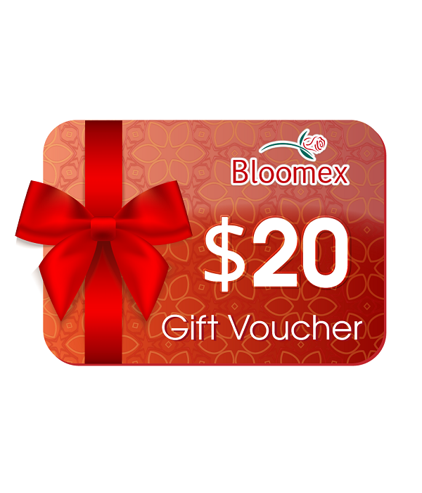 $20 Voucher