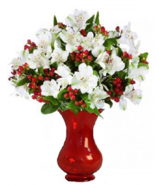 100 Blooms of Holiday Alstroemeria