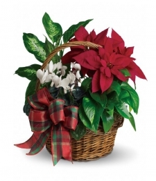 Holiday Poinsettia Basket