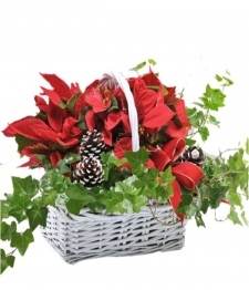 Happy Holidays Planter Basket