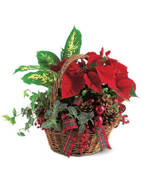 Panier de Jardinière de Noël