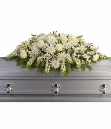 Arrangement de cercueil 