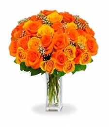 Three Dozen Long Stem Orange Roses