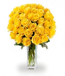 Three Dozen Long Stemmed Yellow Roses