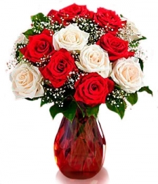 One Dozen Candy Cane Roses