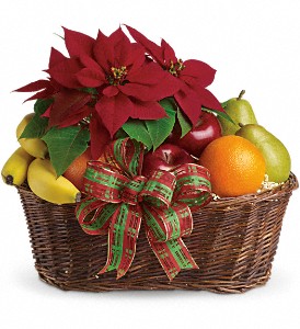 Poinsettia & Fruit Basket