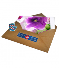 Full Size Card with Postage