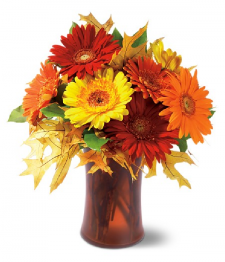 Autumn Gerberas