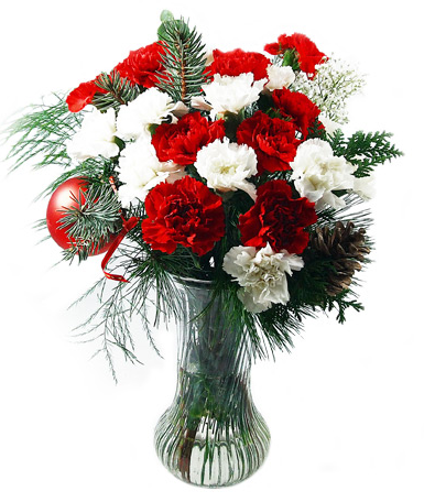 Bouquet d'oeillet d'hiver