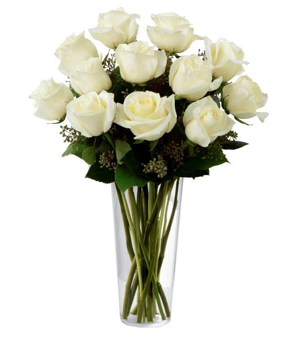 One Dozen Long Stemmed White Roses