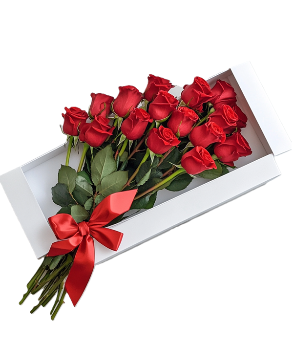 One Dozen Gift Boxed Red Roses