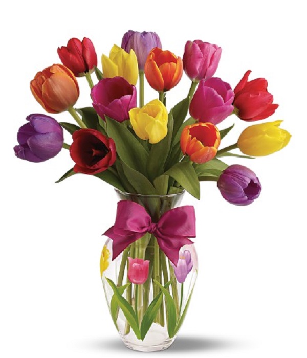 15 Spring Tulips