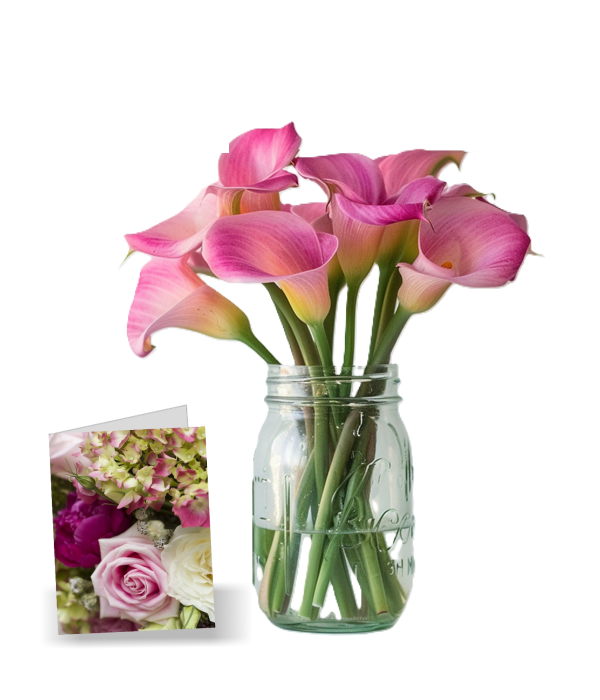 Pink Calla Lilies in Mason Jar