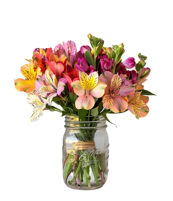 Thirty Blooms of Alstroemeria in Mason Jar