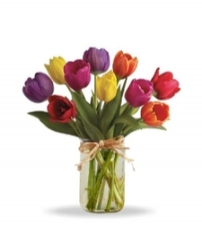 Spring Tulips in Mason Jar