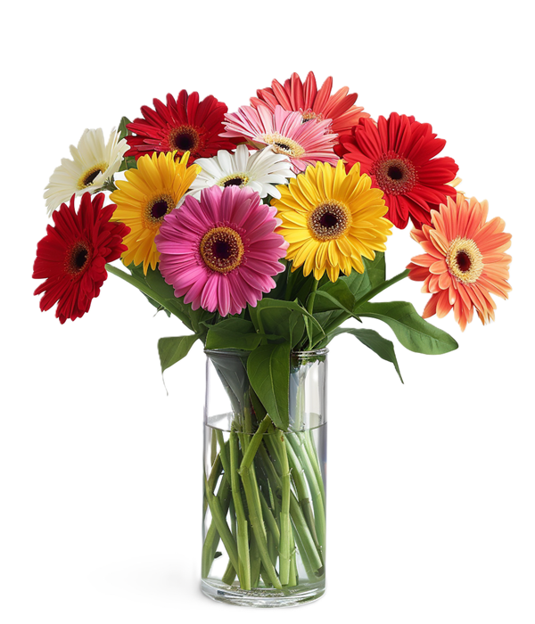 Rainbow Gerbera Bouquet