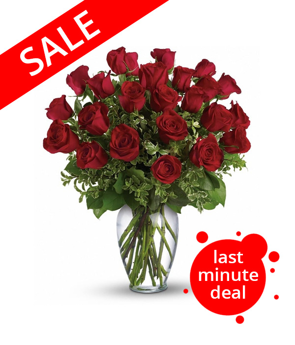 Two Dozen Long Stemmed Red Roses