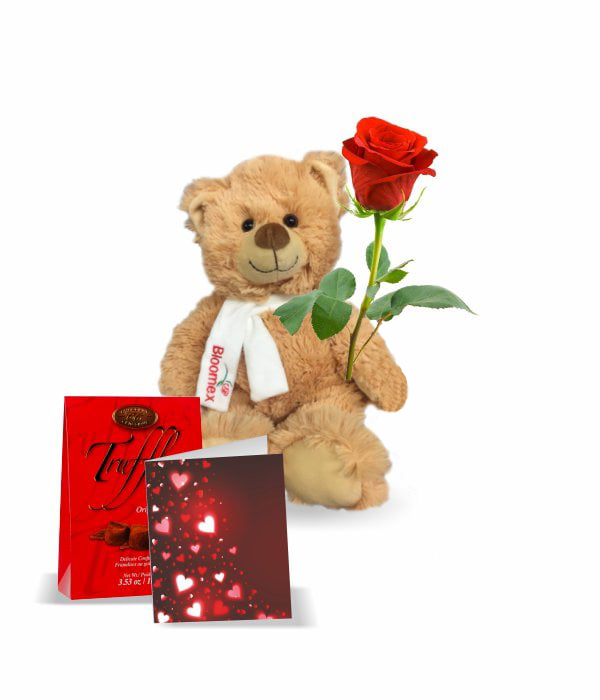 Teddy, Rose, Truffles & Card