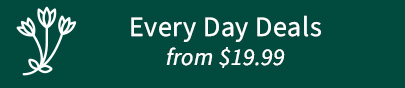 Every Day Deals